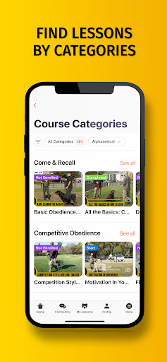 Robert Cabral Dog Training Screen 2