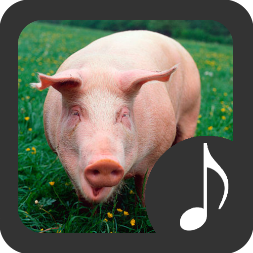 Pig Sounds