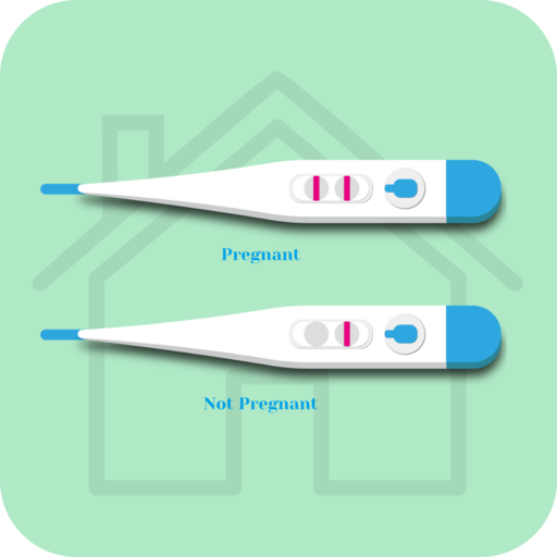 At Home Guide Pregnancy Test