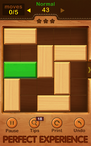 Unblock Puzzle