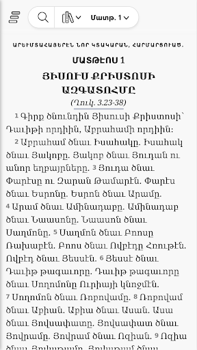 Western Armenian NT Screen 2