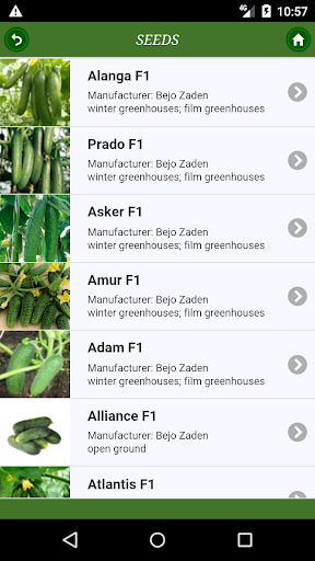 Cucumber: from "A" to "Z" Screen 3