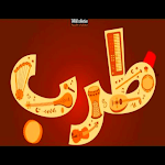 Cover Image of Descargar طرب  APK