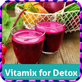 Vitamix Smoothie Recipes For Detox Diet icon