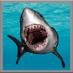 Great White Shark Live Wallpaer Apk