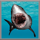 Great White Shark Live Wallpaer Download on Windows