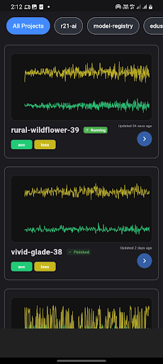wandview For Weights & Biases Screen 2