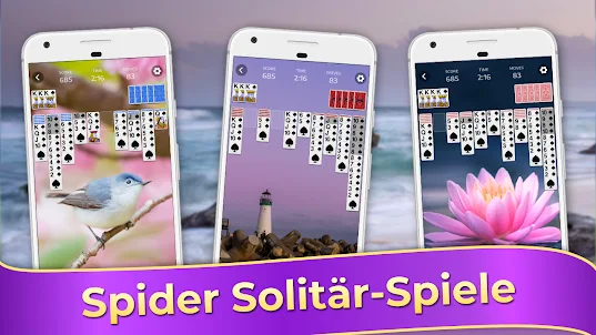 Spider Solitaire, Kartenspiele