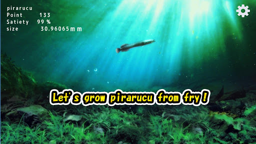 Pirarucu rising from fry 1.0.8 screenshots 1