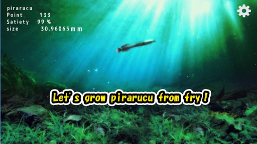 Android application Pirarucu rising from fry screenshort