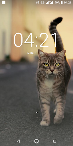 Cat Wallpapers Screen 3