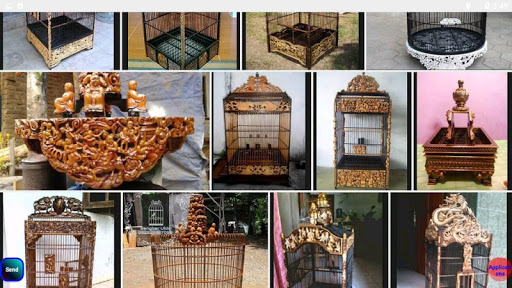 the idea of a bird cage collection