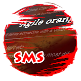 Agile orange S.M.S. Skin icon