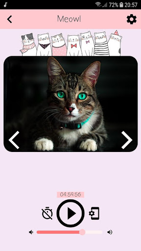 Cat Sounds Screen 3