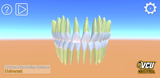 3D Tooth Anatomy
