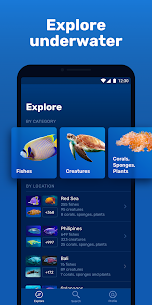 Seabook – Fish identification New Mod Apk 1