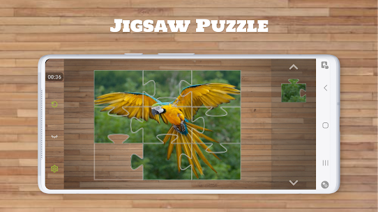 Bird Puzzle Games 3