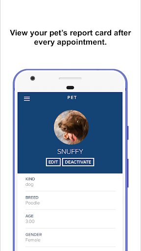 Petz Dog Walking Screen 3