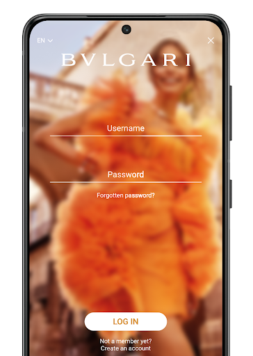 Learningstar Screen 2