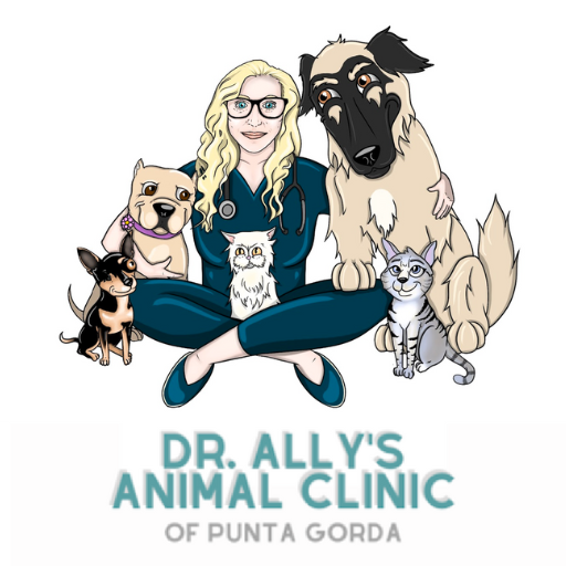 Dr Allys Animal Clinic PG logo