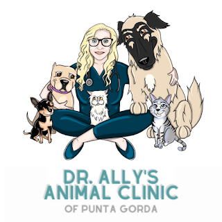 Dr Allys Animal Clinic PG apk