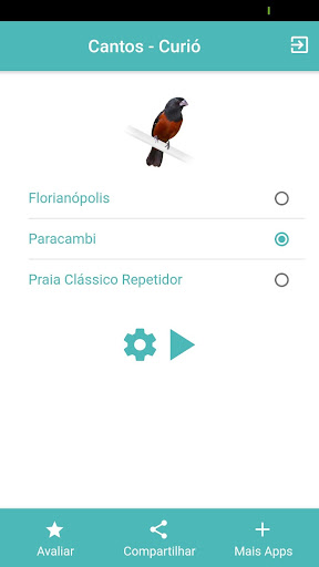 Cantos Curió - Paracambi Screen 2