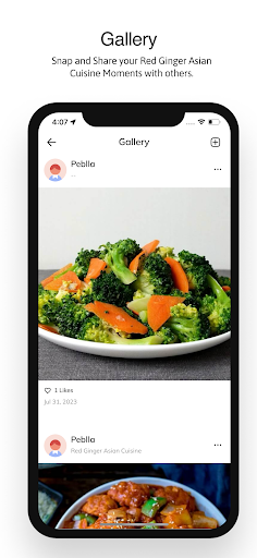 Screenshot of Red Ginger Asian Cuisine