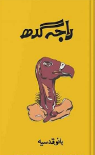 Urdu Novels