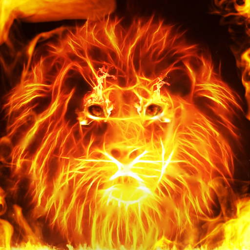Fire Lion Wallpaper + Keyboard Logo