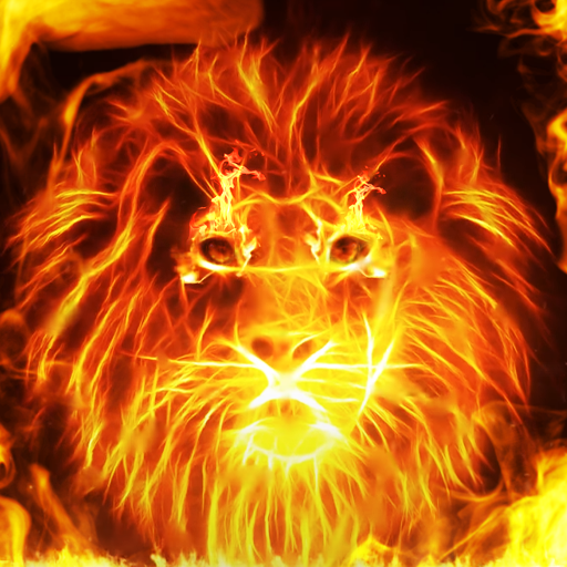 Fire Lion Wallpaper + Keyboard  Icon