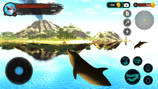 The Dolphin 3