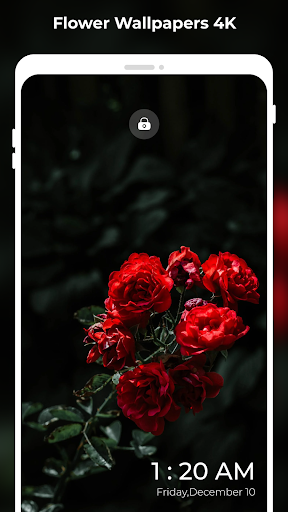 Flower Wallpapers 4K: FULL HD Screen 2