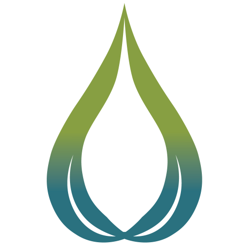 The Last Monk logo