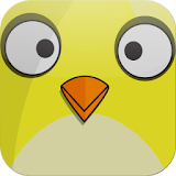 Chubby Bird icon