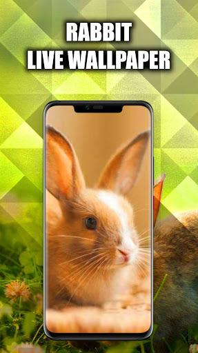 Android application Rabbit Wallpaper Live HD/3D/4K screenshort