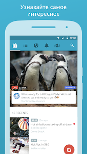Periscope — Видео в прямом эфире