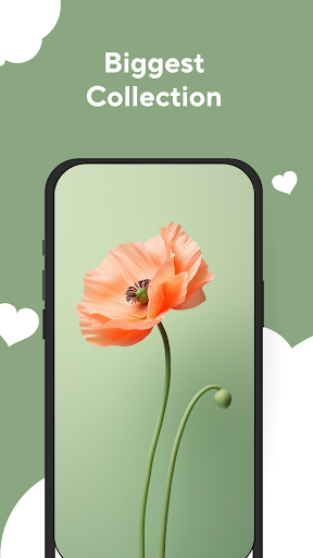 Screenshot of Flower Wallpapers Rose 4K - HD