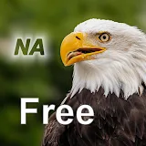 Nature Free - North America icon