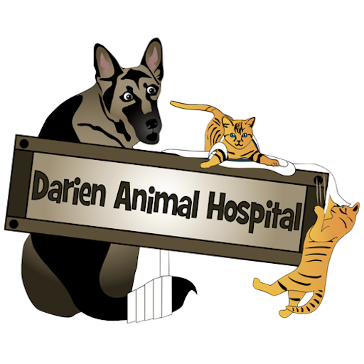 DAH Vet logo