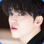 Cover Image of Tải xuống S.coups Seventeen Wallpaper HD  APK