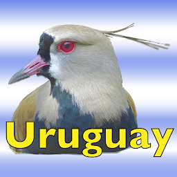 Icon image The Birds of Uruguay