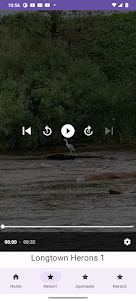 Longtown Heron Videos