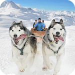 Cover Image of Baixar Jogos de transporte de trenós puxados por cães de neve: esportes de inverno  APK