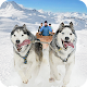 Snow Dog Sledding Transport Games: Winter Sports دانلود در ویندوز