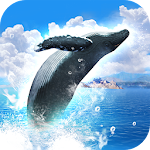 Cover Image of Download REAL WHALES Find the cetacean.  APK