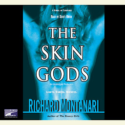 Icon image The Skin Gods: A Novel of Suspense