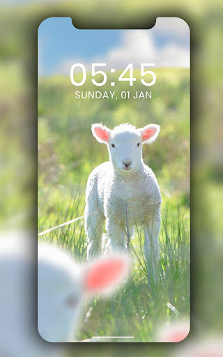 Cute Aesthetic Wallpaper HD