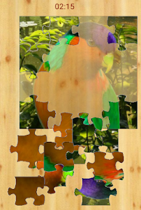 bird puzzle