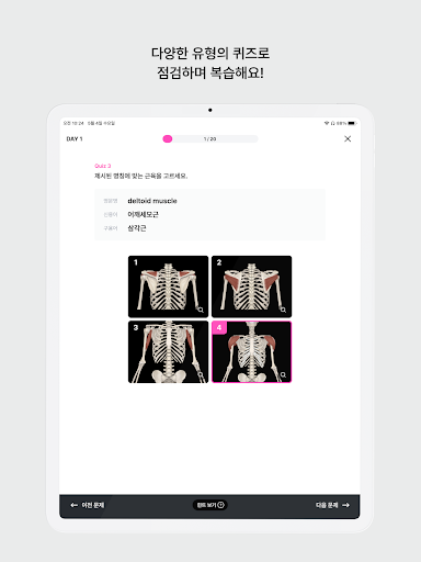 아나토미마스터 - 이파마스터가 만든 해부학 암기앱 Screenshot