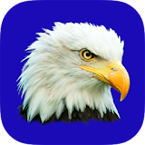 Downsville CSD Eagle LaunchPad icon